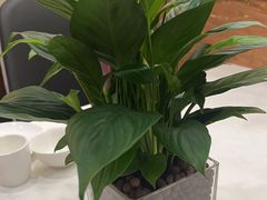 -红菜坊·烤鸭·川鲁宴(石园店)
