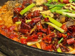 老板恋上鱼-老板恋上鱼(恒隆广场店)