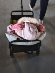 -首都医科大学附属北京儿童医院