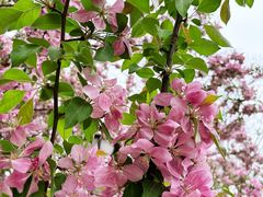 -元大都城垣遗址公园