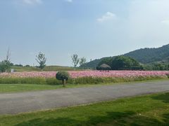 -径山花海