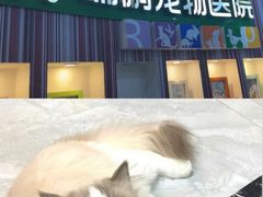 -瑞鹏·疫苗·绝育·宠物医院(金沙洲店)