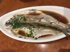 -西新饭店(城中店)