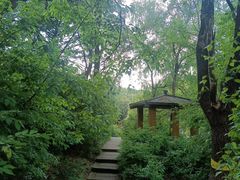 -黑龙江省森林植物园