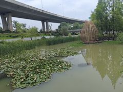 -洋湖国家湿地公园