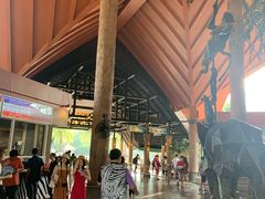 -清迈夜间动物园