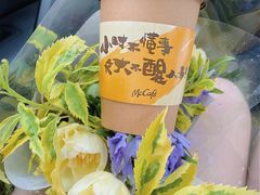野兽派包的花花-麦当劳(苏州中心星悦汇店)
