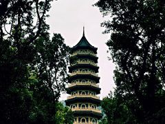 -紫金山山顶公园
