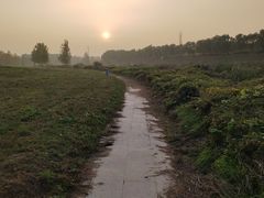 -洨河生态公园