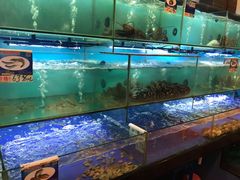 水产区-南海渔家•海鲜•正宗海南菜(海棠湾店)