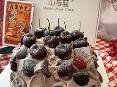 -山与蓝·轻糖鲜果蛋糕(勒泰店)
