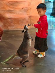 -Zoolung Zoolung动物主题公园(海信广场店)