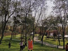 -南京枫彩漫城
