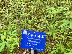 -中国科学院西双版纳热带植物园