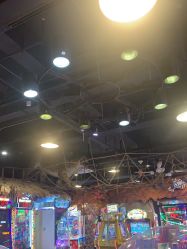 -卡通尼·Safari非洲探索乐园·生日会(金桥国际商业广场店)