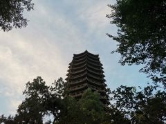 -北京大学百年讲堂