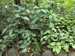 -海南热带野生动植物园
