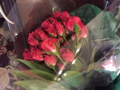 华盛顿杜勒斯国际机场-华盛顿杜勒斯国际机场