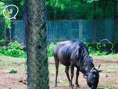 -杭州野生动物世界