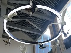 -白鹭湾湿地公园