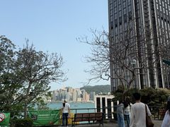 -讯号山花园