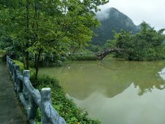-靖西鹅泉风景区