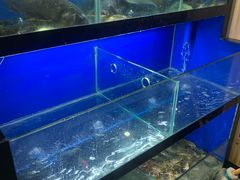 水产区-李东农庄(中南百草园地标店)