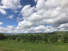 -御道口草原森林风景区