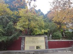 -佛慧山