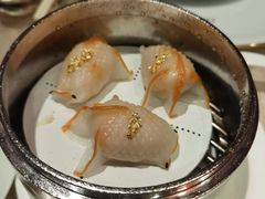 金鱼饺-8餐厅(新葡京酒店)