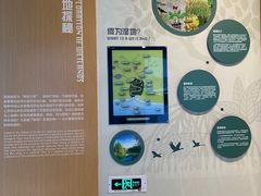 -下渚湖国家湿地公园科普馆