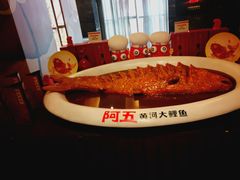 -阿五黄河大鲤鱼(纬三路店)