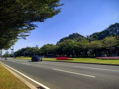 -深圳国际园林花卉博览园