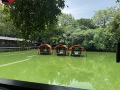 -侨美·唐荔园·40年地道粤菜