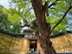 -无锡惠山寺