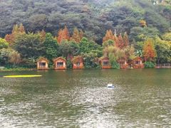 -重庆彩云湖湿地公园