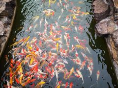-镇江中国醋文化博物馆