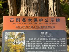 -北京上方山国家森林公园