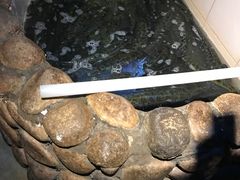 -湘芙蓉·湖南菜(椒江店)