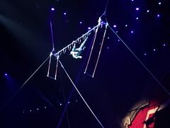 -珠海横琴长隆《卡卡虎奇遇记》