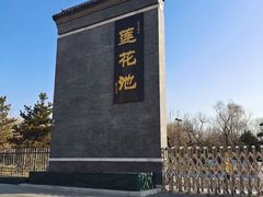 -莲花池公园