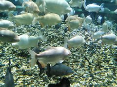 -成都浩海立方海洋公园