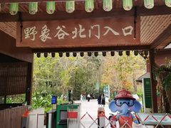-野象谷景区