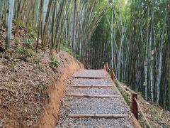-广州市帽峰山景区