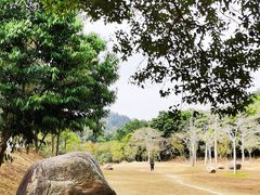 -田心森林公园