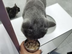 -极木²邸 人与宠物·互动社区