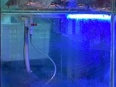 -鱼酷活鱼烤鱼(南京水游城店)