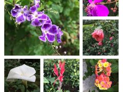 -优游吧斯邹族文化部落