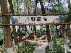 -南京晨光1865创意产业园