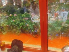 -大芊金重庆串串火锅(南京路店)